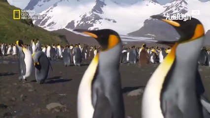 جزر غير مكتشفة | قطعة من الجنة