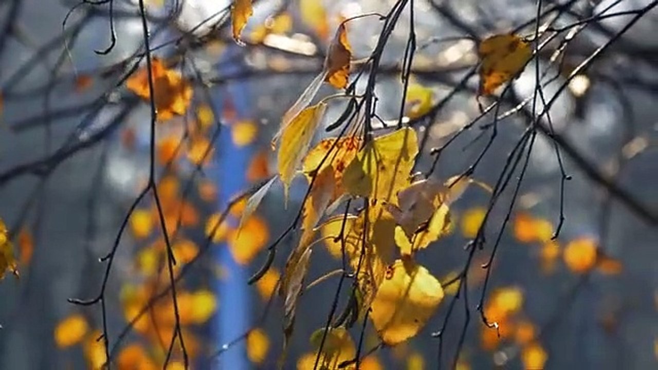 Nature !