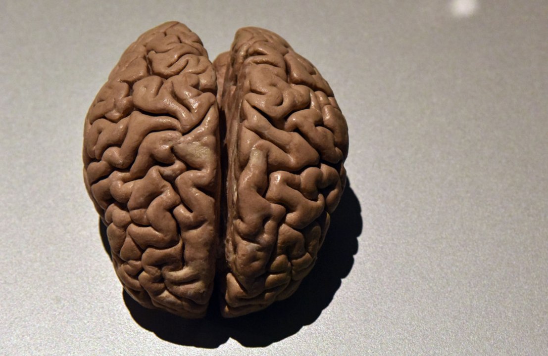 Teenage brains aged faster during pandemic, study suggests - video ...