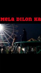 Mela dilon ka