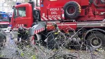 Milano, albero cade sulle auto