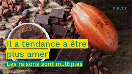 Alimentation : le goût du chocolat a beaucoup changé, voilà pourquoi