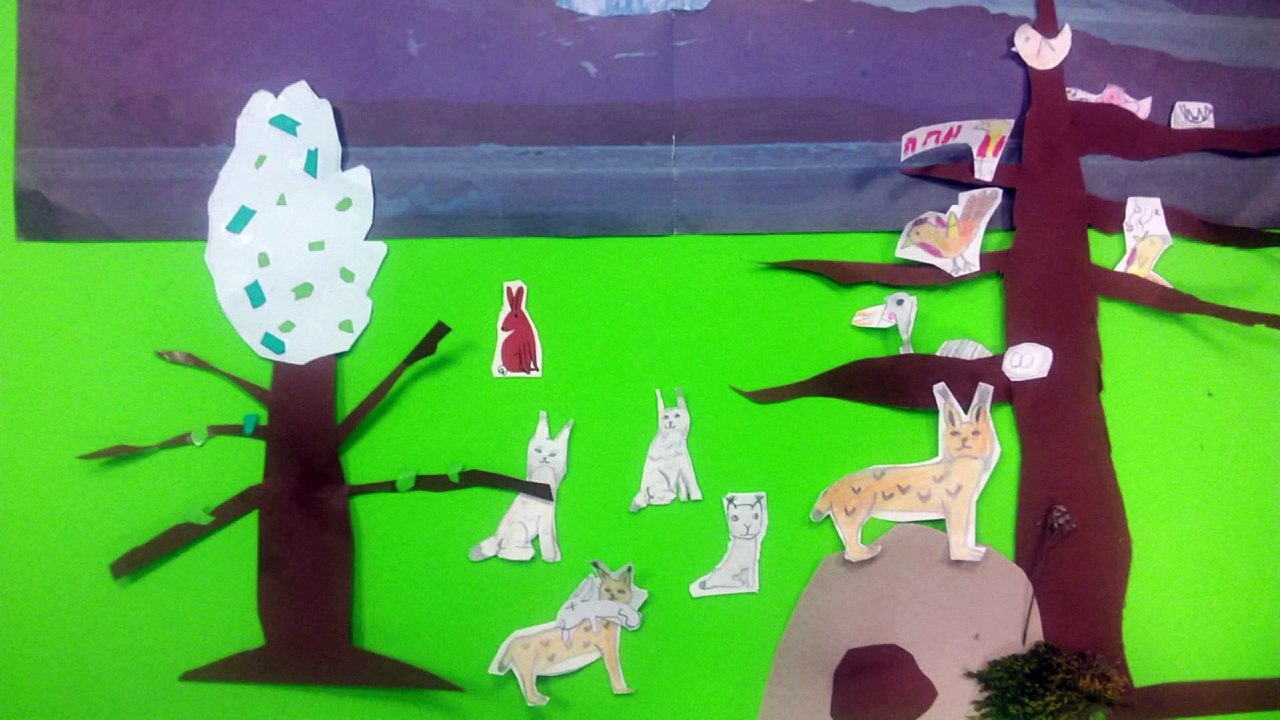 Famille lynx au fil des saisons