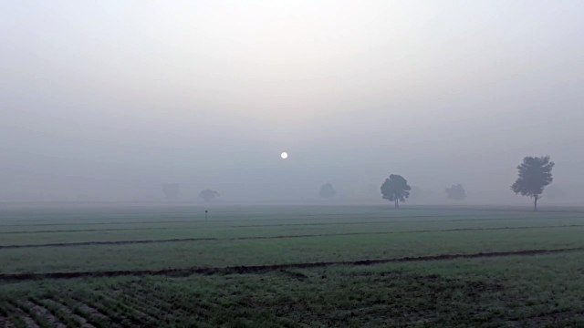 माउंट आबू आज भी शून्य पर, मैदानी इलाकों, कारों के शीशे, छतों पर बर्फ की परत जमी