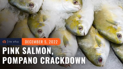BFAR backpedals on pink salmon, pompano crackdown