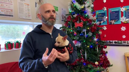 How the cost of living crisis is affecting the RSPCA