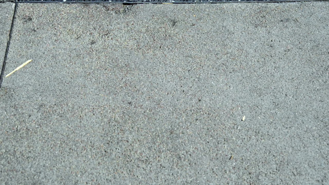 Samtener Luxusflieger: Elvis Presleys Privatjet soll versteigert werden