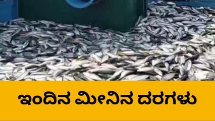 ದ.ಕ.: ಡಿ.05 ; ಹೀಗಿತ್ತು ಫಿಶ್ ಮಾರ್ಕೆಟಿನಲ್ಲಿ ಇಂದಿನ ಮೀನುಗಳ ದರ