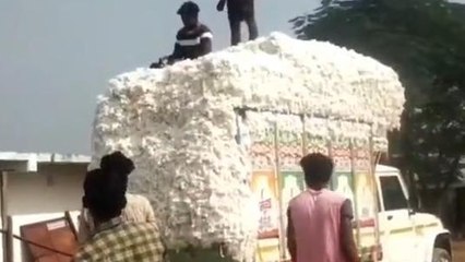 కాగజ్ నగర్: జోరుగా దళారి దందా.. తేమ పేరిట మోసం