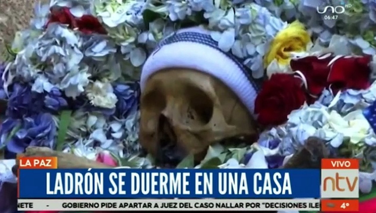 Insólito: Un ladrón se quedó dormido en la casa donde pretendía robar