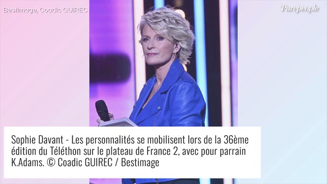 Sophie Davant séparée d'Erik Orsenna : elle assume sa part de responsabilité dans leur rupture, confidences...