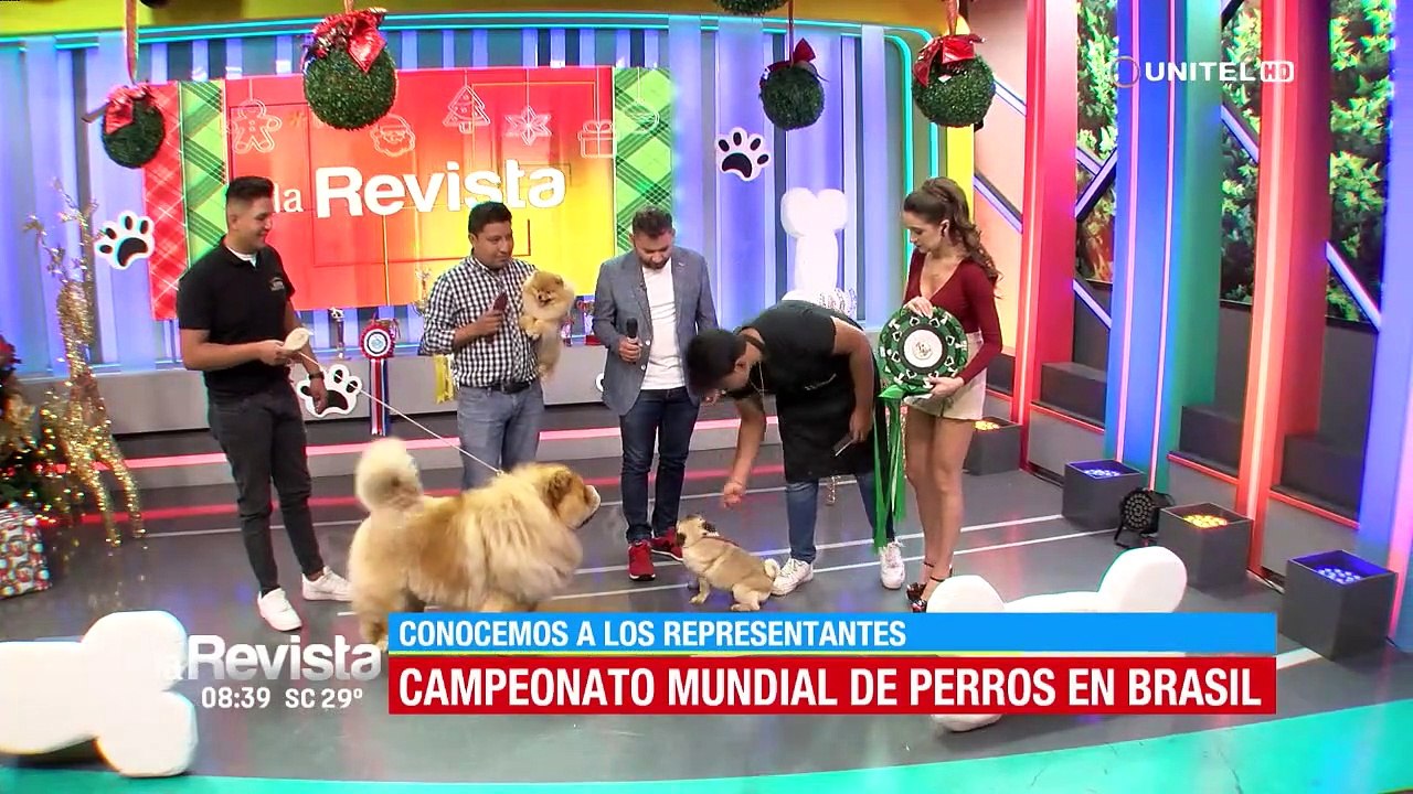 Bolivia tendrá dignos representantes en el Campeonato Mundial de perros