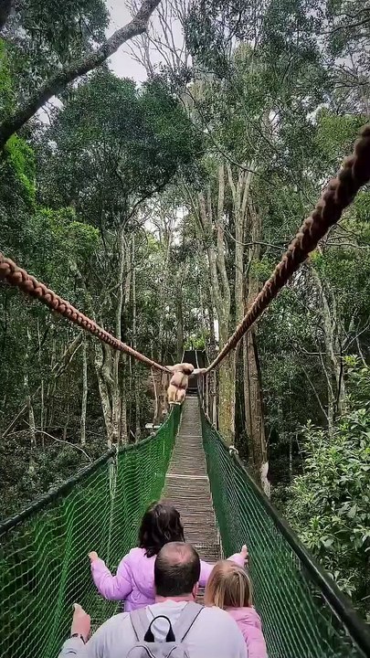 Une famille d'humains et un singe se croisent sur un pont