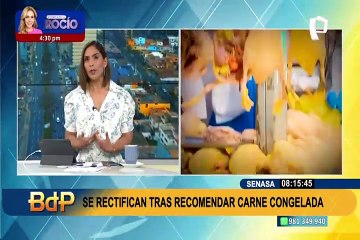 Veterinario sobre pelícanos enfermos: "Es duro ver a nuestras aves morir, pero no las toquen ni alimenten"