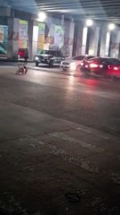 Pelean en el tránsito: hombre es arrollado dos veces