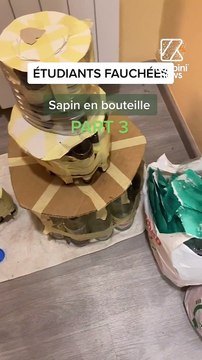 Vos meilleurs sapins... sans sapins