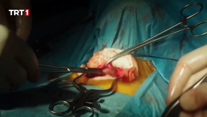 مسلسل طبيب البلدة الحلقة 20 الجزء 1