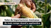 Valor de importaciones mexicanas de maíz rompe récord a septiembre