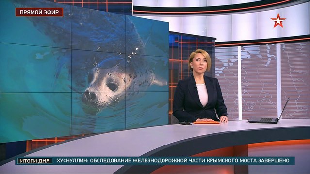 не самых лучших дней