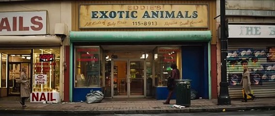 Tim, Tim, Timsah: New York'taki Maceralar