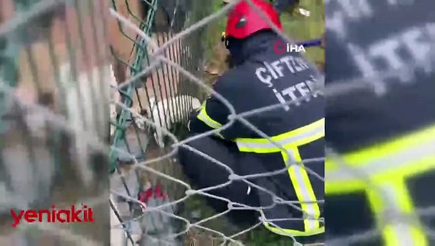 Kafası çitlere sıkışan yavru köpeğin imdadına itfaiye yetişti