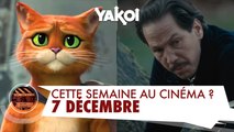 Yakoi au cinéma cette semaine ? (du mercredi 7 décembre au mardi 13 décembre)