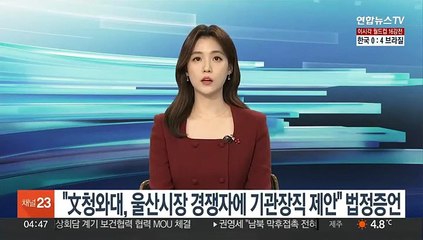 "文청와대, 울산시장 경쟁자에 기관장직 제안" 법정증언