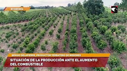 Situación de la producción ante el aumento del combustible