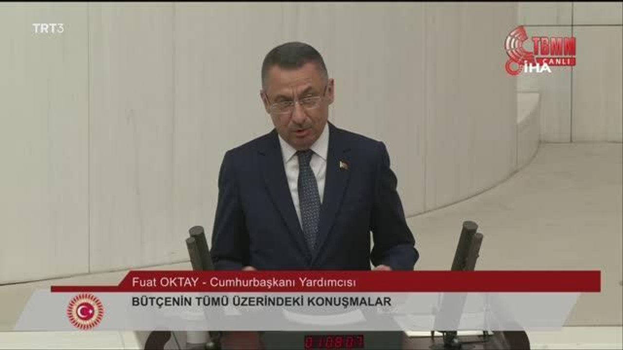 Cumhurbaşkanı Yardımcısı Oktay: "FETÖ'nün sözcülüğüne soyunanların bu meclise gazi meclis demelerini beklemek hayaldir"
