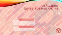 Причины повышенного/пониженного содержания лейкоцитов в крови