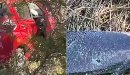 Ex-zagueiro do Flamengo Ronaldo Angelim sofre acidente de carro em rodovia do estado do Ceará