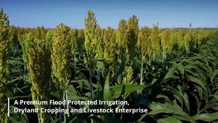 Kingower, Emerald, Qld - December 6, 2022 - Farmonline