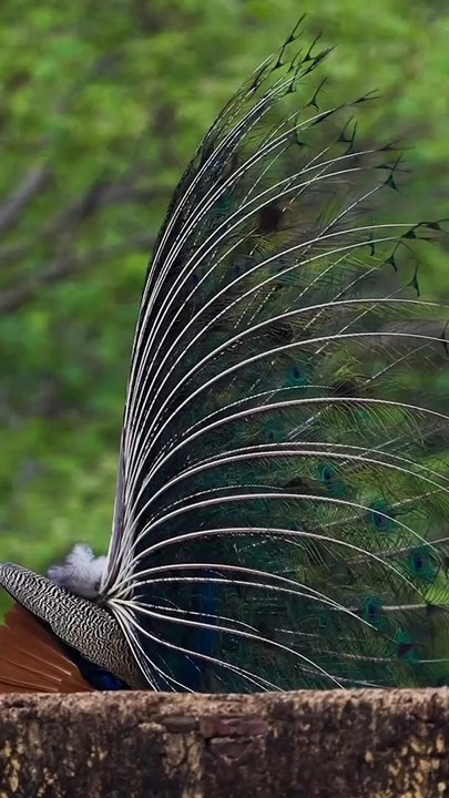When he knows his good side_