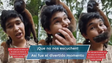 Mono le tapa la boca a un joven que cantaba en la jungla