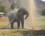 Elephant Enjoying Water Sports