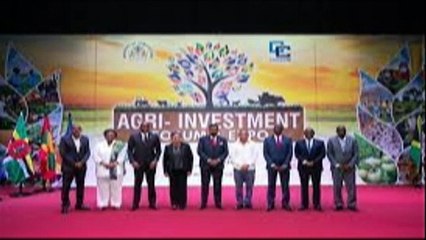 Cop27, Bittersweet For Beckles