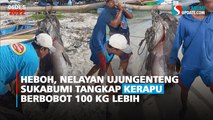 Heboh, Nelayan Ujungenteng Sukabumi Tangkap Kerapu Berbobot 100 Kg Lebih