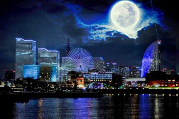 もう誰も愛さない