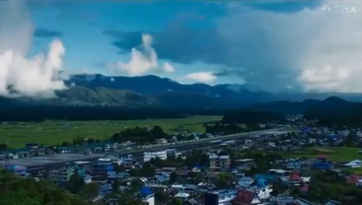 Bhediya Movie Explained in Hindi - What does it all mean