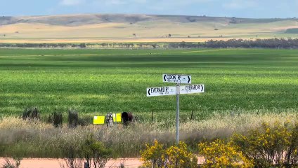 'Red Rock' Everard | December 12, 2022 | Farmonline