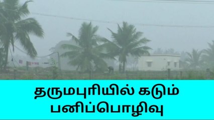 தருமபுாி: கடும் பனிப்பொழிவால் மக்கள் அவதி!