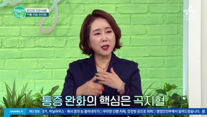 팔꿈치의 '이곳'을 누르면 무릎 통증이 사라진다? 한의학 박사의 무릎 관절 관리법!