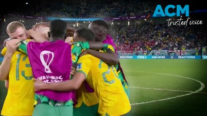 Socceroos FIFA World Cup 2022 campaign highlights