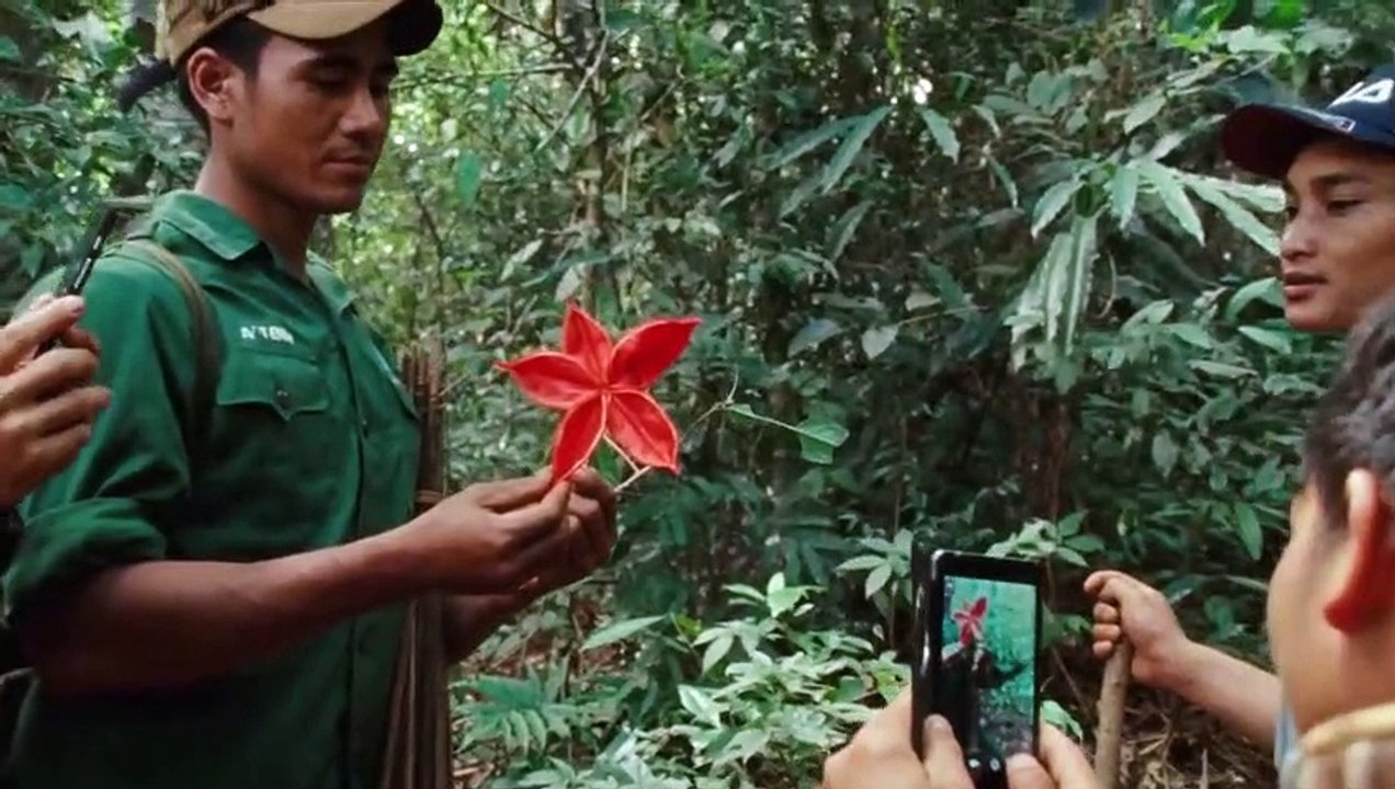 The Dust Of Modern Life Trailer DF