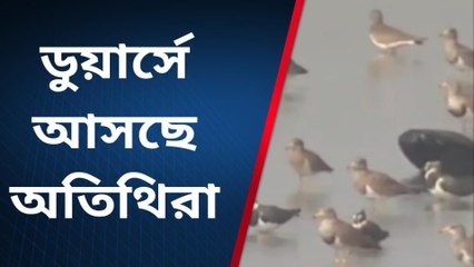 জলপাইগুড়ি:ভয়াবহ দৃশ্য মহানন্দা ব্যারেজে !দিকে দিকে পর্যটকদের আর্তনাদ
