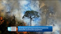 EU einigt sich auf Importverbot für bestimmte Rohstoffe aus Entwaldungsgebieten