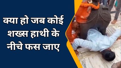 अनूपपुर: हाथी के नीचे फंस गया युवक,हलक में अटकी जान,देखें वीडियो