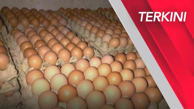 [TERKINI] Kementerian Pertanian dan Keterjaminan Makanan kenal pasti sumber luar tampung bekalan telur
