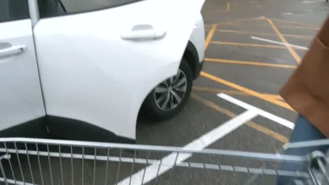 Se encuentra una cartera con más de 1500 euros y se la devuelve a su dueña