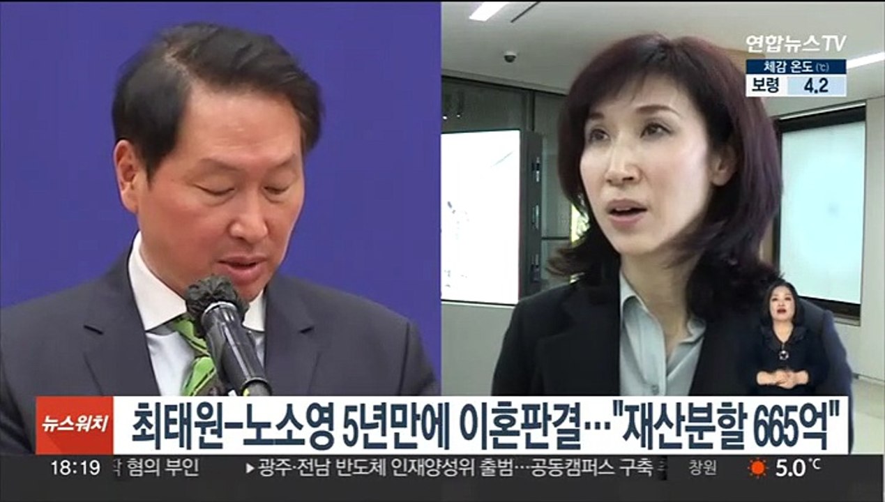 최태원-노소영 5년만에 이혼판결…"재산분할 665억"